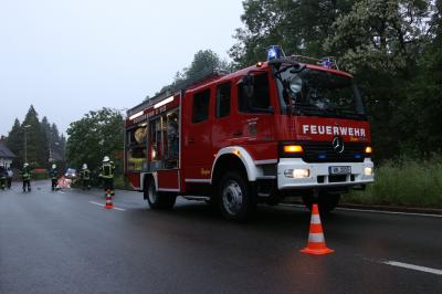 Waiblingen-Bittenfeld: groesserer Baum faellt auf Strasse - Feuerwehr im Einsatz 